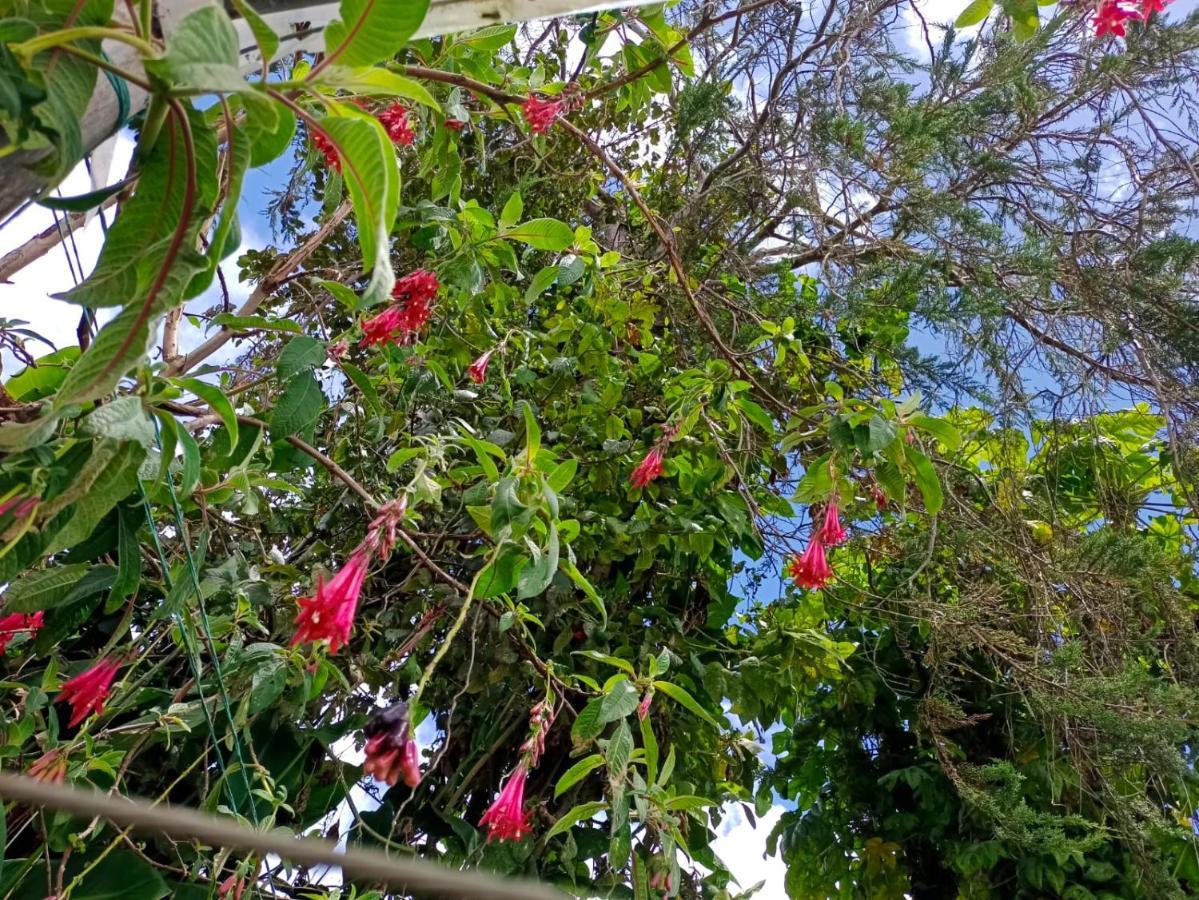 אקיטניה Casa Rural Zaba Lago De Tota מראה חיצוני תמונה